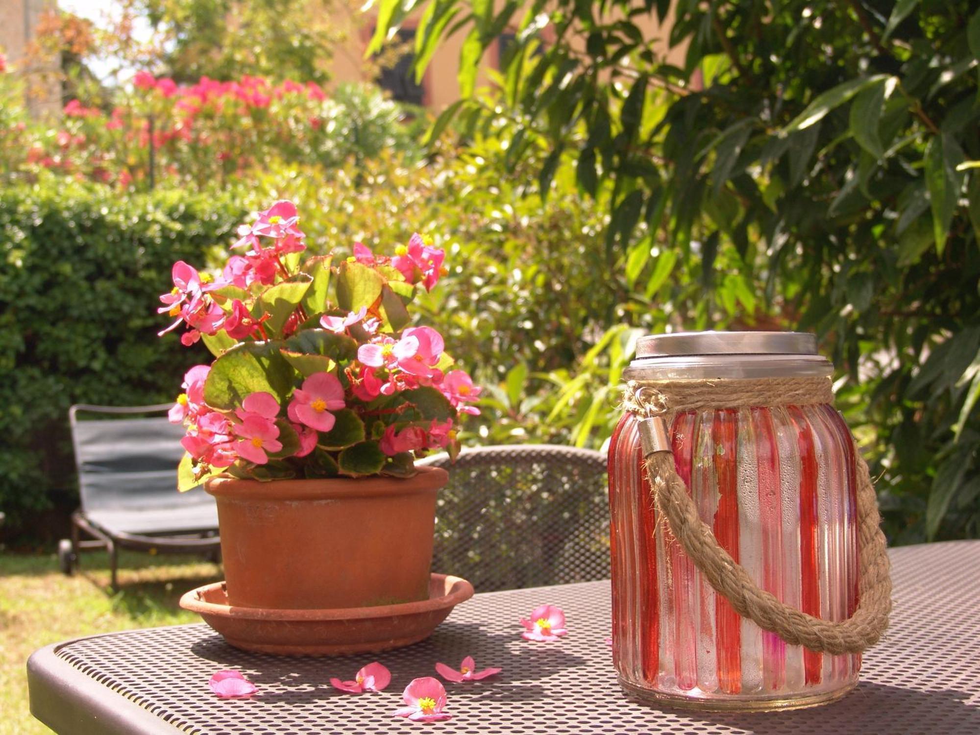 Villanova Apartments - Nature & Wellness Levanto Rum bild